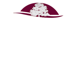 Castillo Funeral Home & Cremation Logo