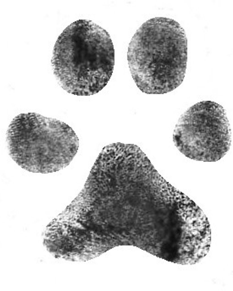 Barkley Haithcock Profile Photo