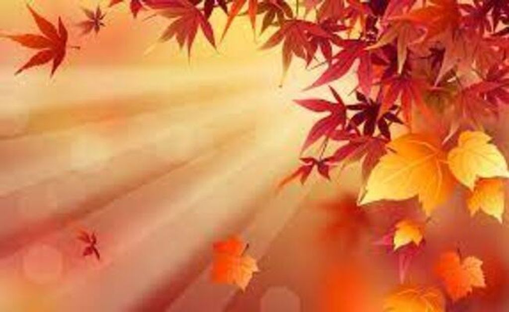 Debra Hunt Eastis Profile Photo
