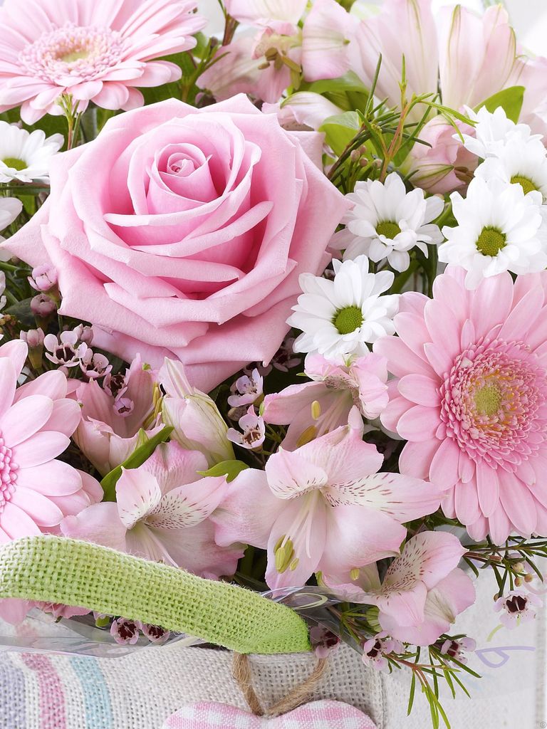 Laila Sydney Walters