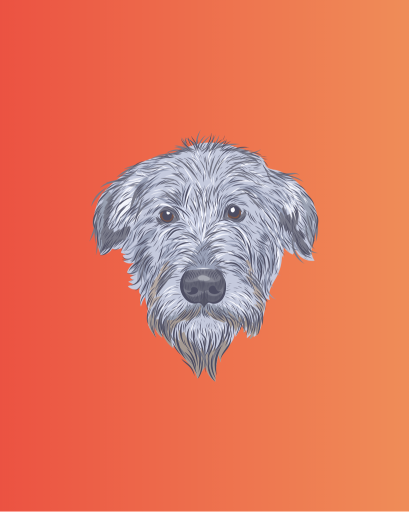 Dublin Reinhart Profile Photo