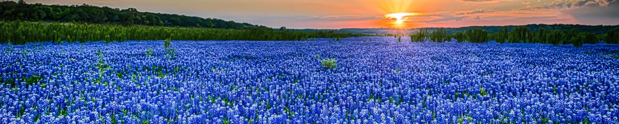 Cover photo for Carilyn Ann Talley's Obituary