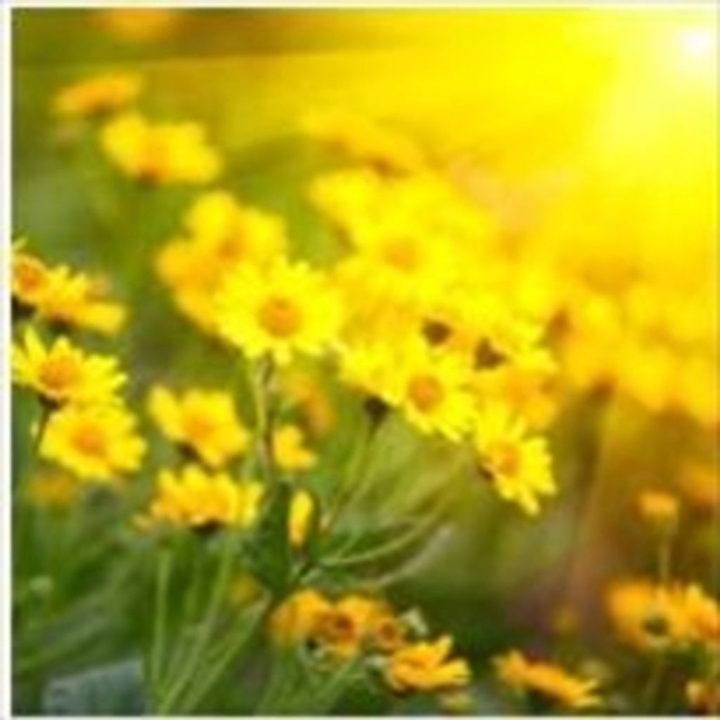 Marguerite Loranger Profile Photo