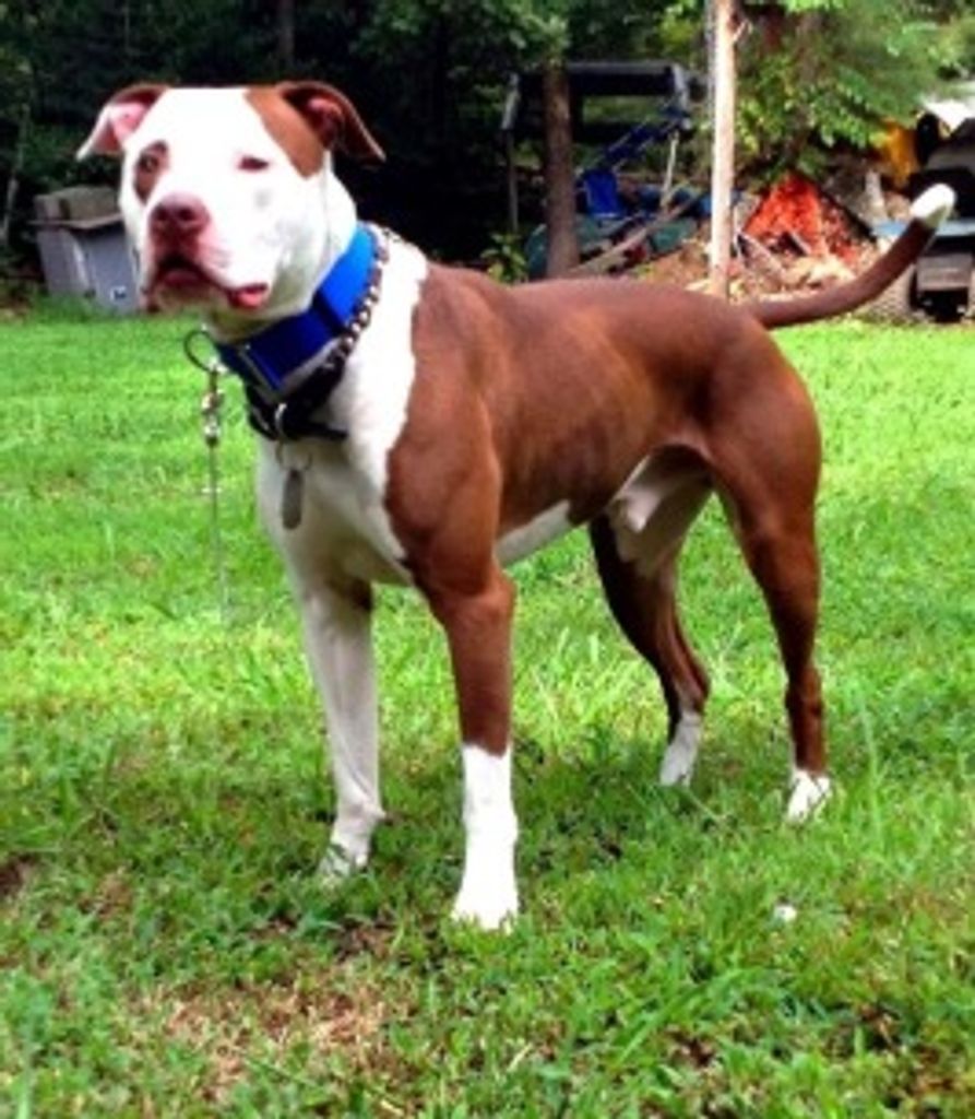 Dos Benton Profile Photo