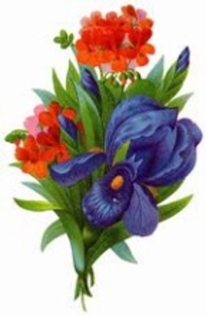 James Delbert Miller