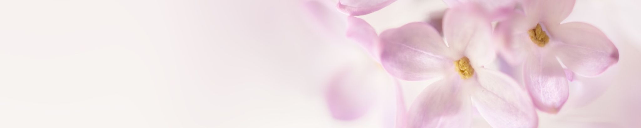 Cover photo for Waltraud "Trudy" Hippe's Obituary
