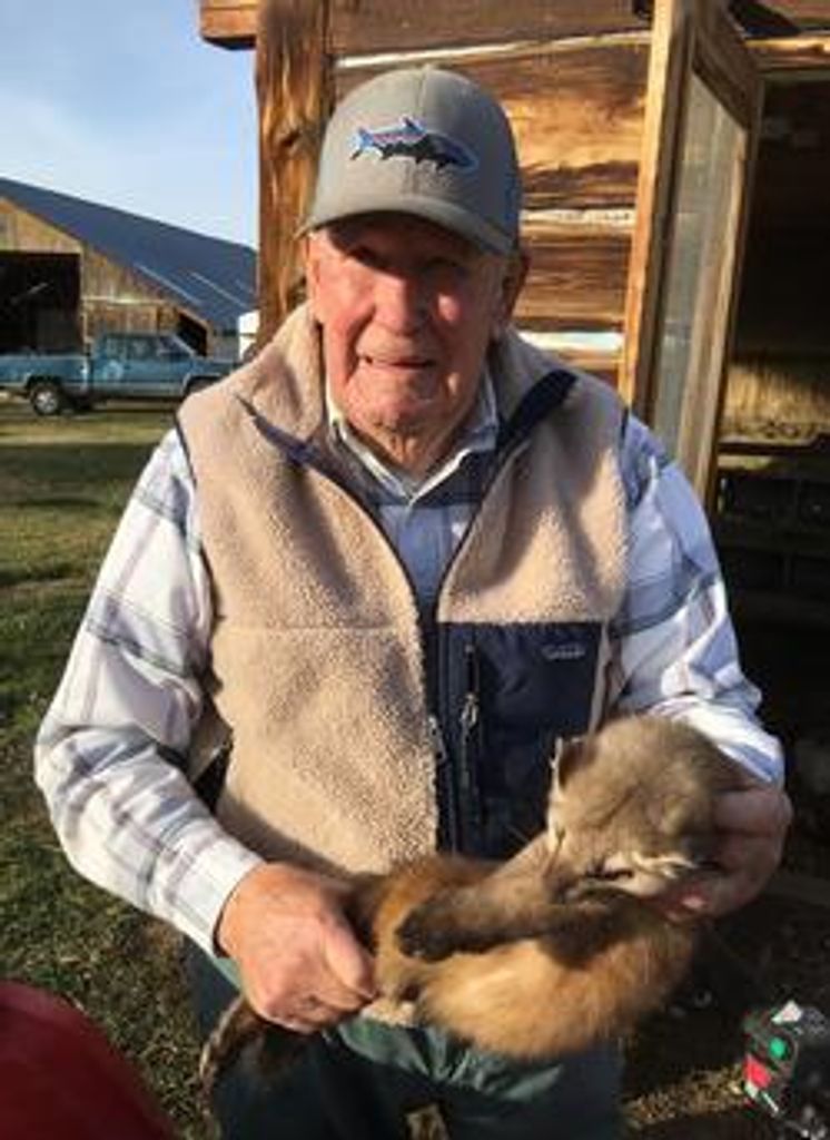 Wayne Green Profile Photo