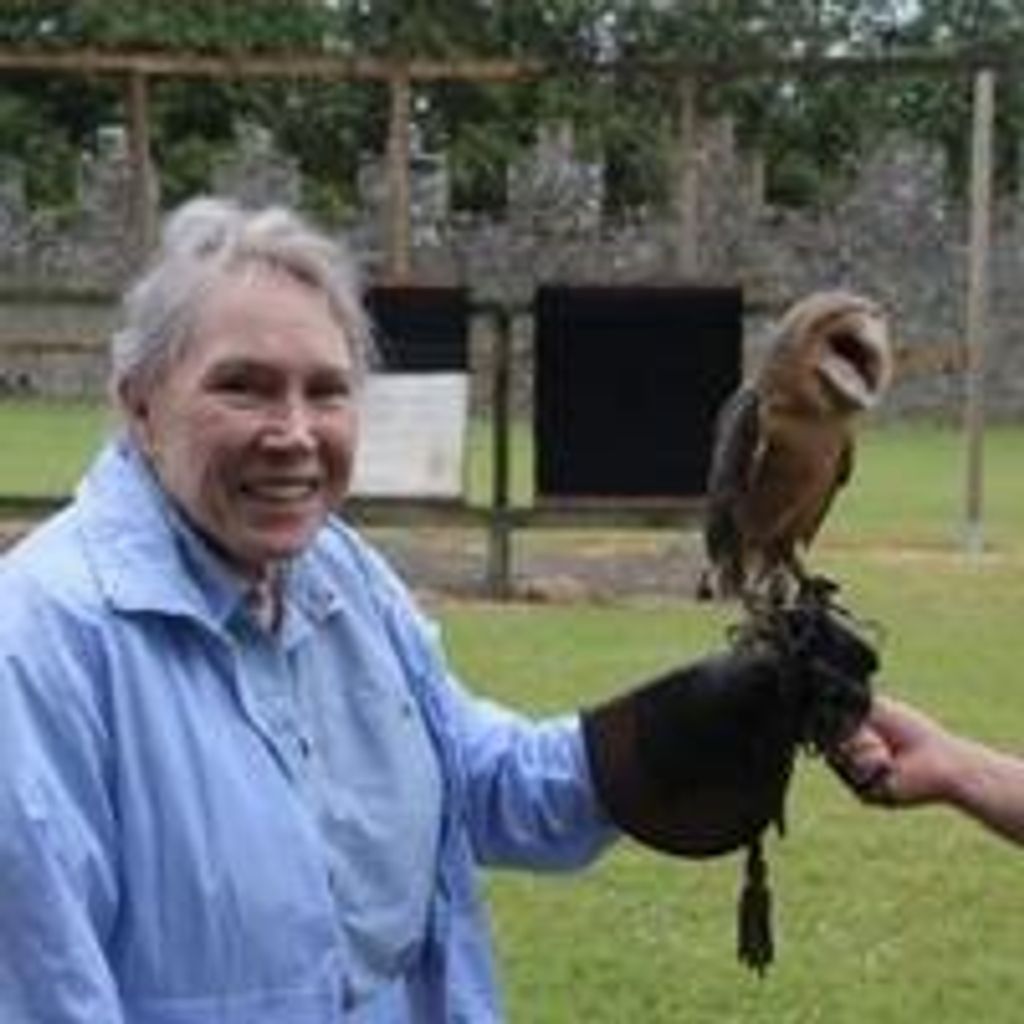 Virginia Lillian Albrecht