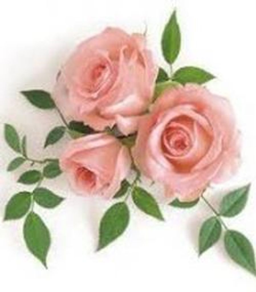 Tammy Carter Funderburk