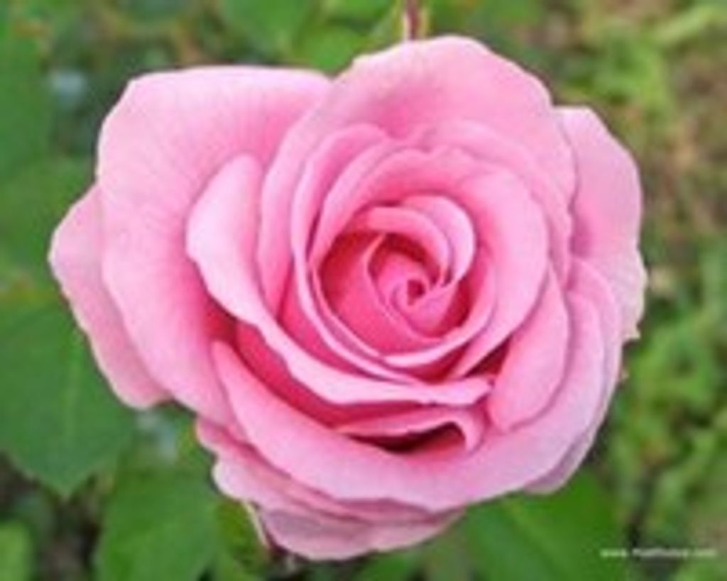 Brenda Ashby