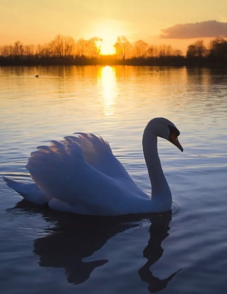 Sandra Jill (Marpe) Buchheit