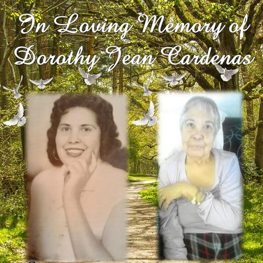 Dorothy Jean Cardenas Profile Photo
