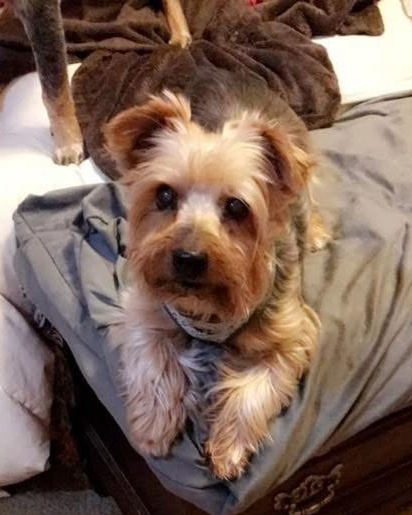 Barley Buck Profile Photo