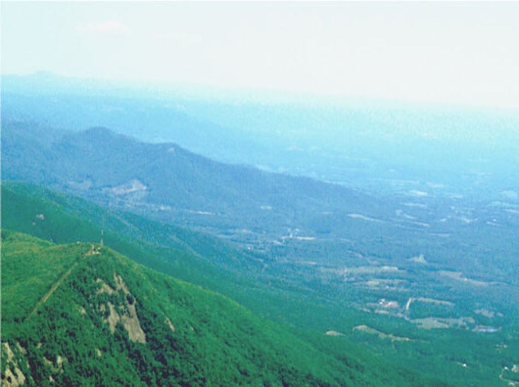 Lars Erik Brandt Profile Photo