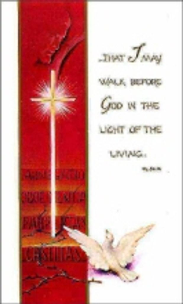 Amelia  Dorothy Payne