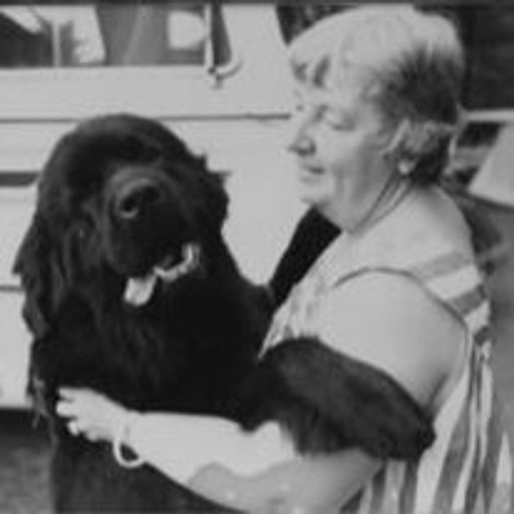 Jane H Thibault