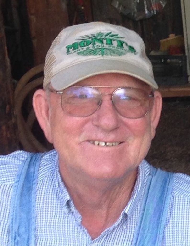 Ronnie Lee Minnicks