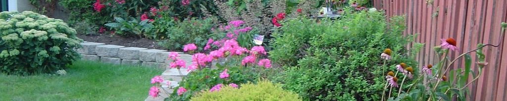 Cover photo for Lise Moncion née Leduc's Obituary