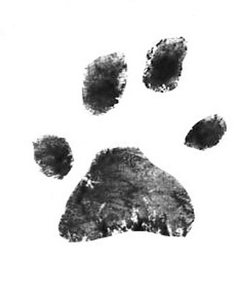Savannah Whitted Profile Photo