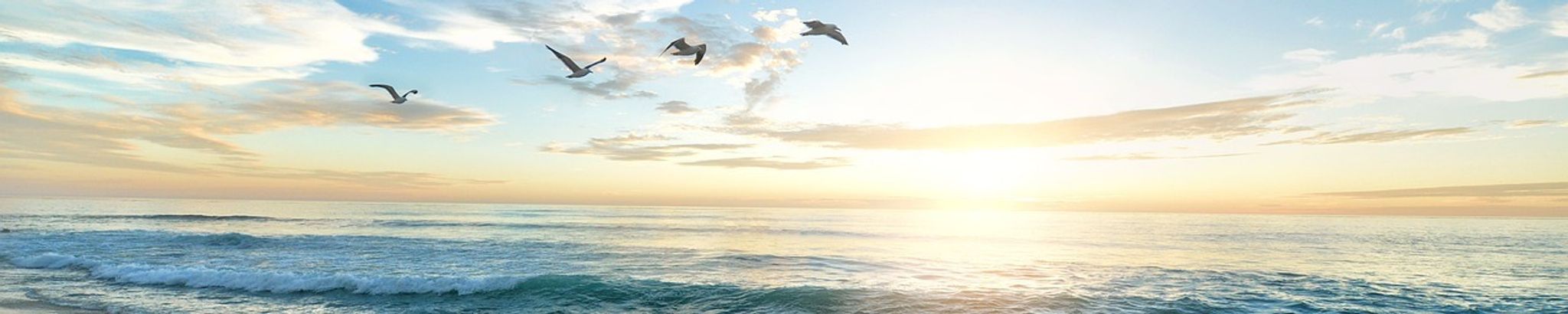 Cover photo for Mary Theresa Kerrigan's Obituary