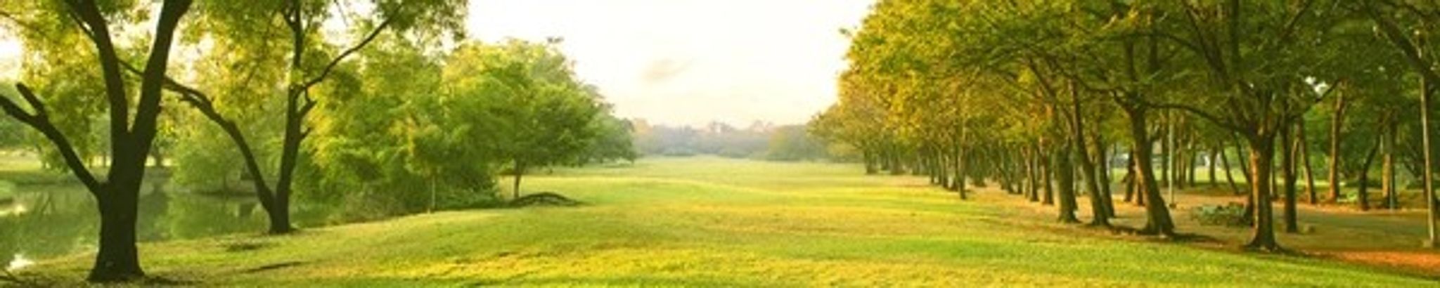 Cover for John Simmons's Obituary