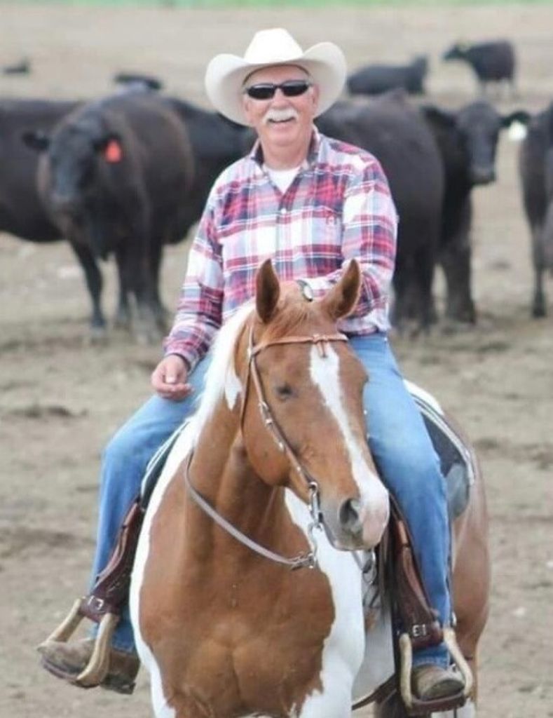 Robert "Bob" Joseph Sestrich Profile Photo