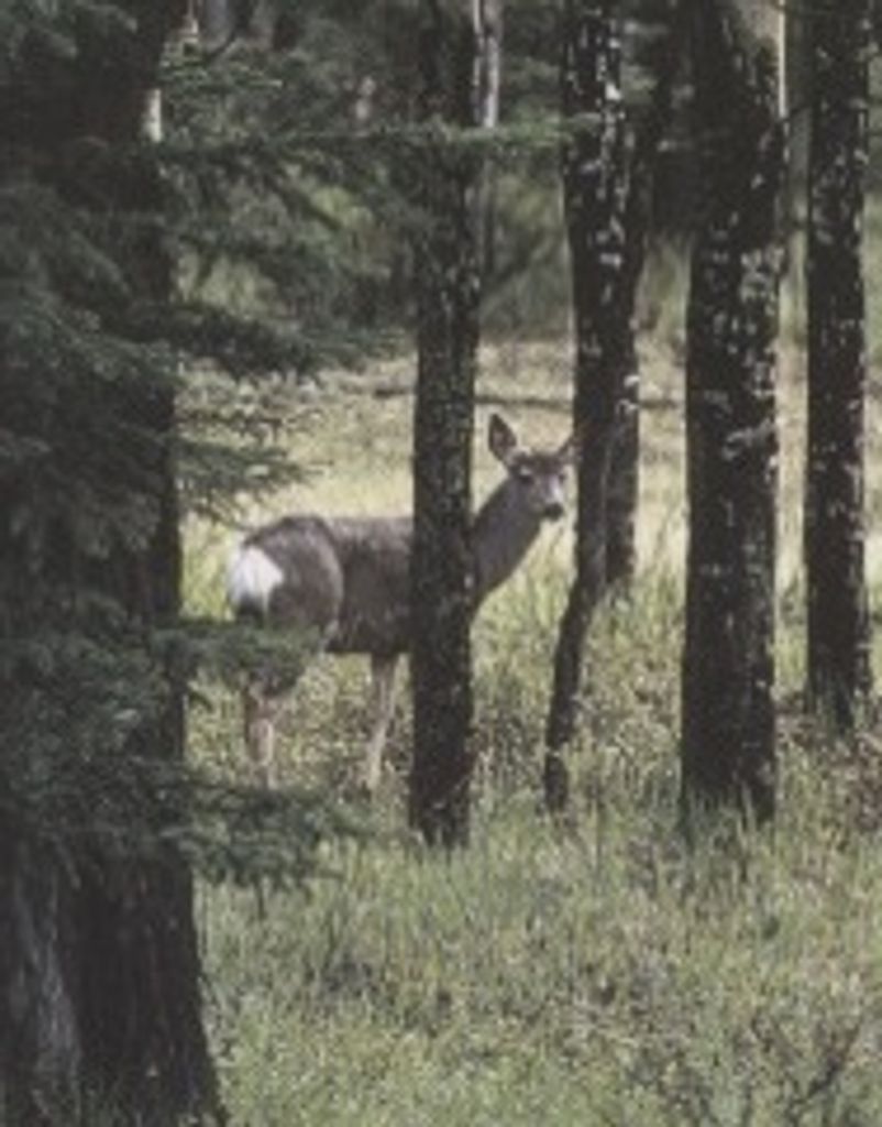 Michael K. Cote Profile Photo