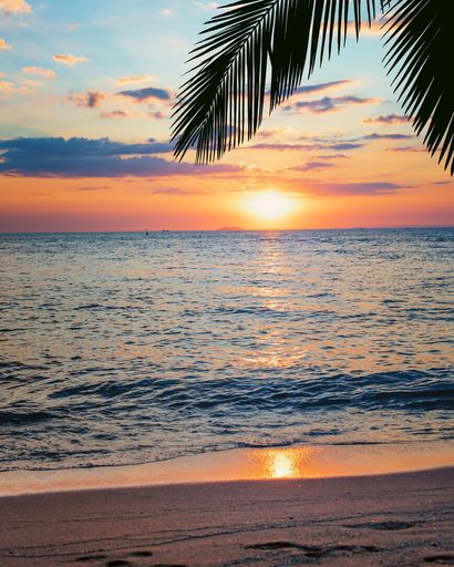 Vicki Starr Kugler's obituary image