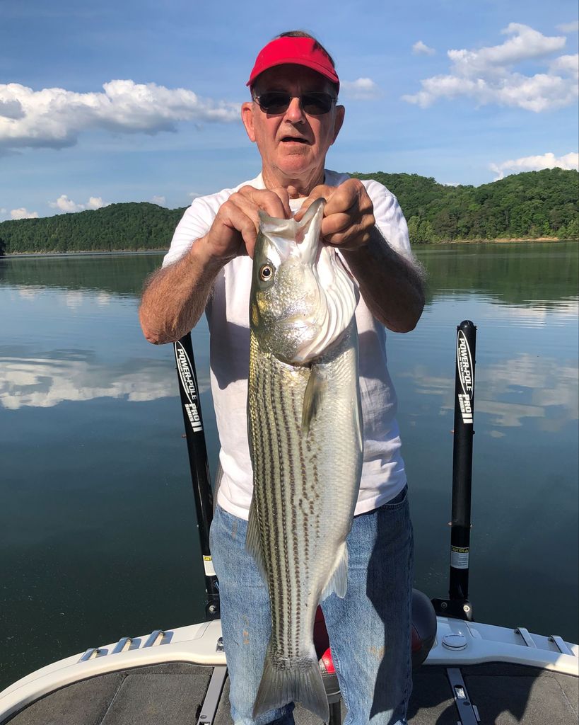 Loran Spence Profile Photo