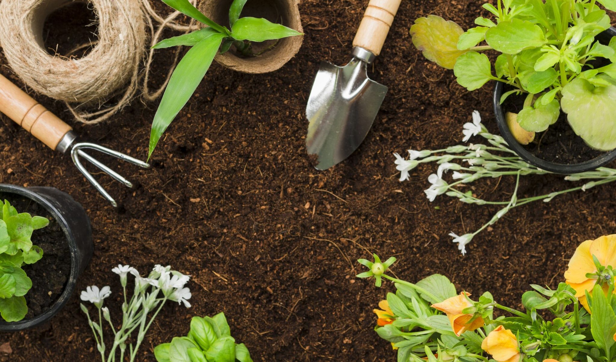 Cover for Wanda Lee Mudget's Obituary