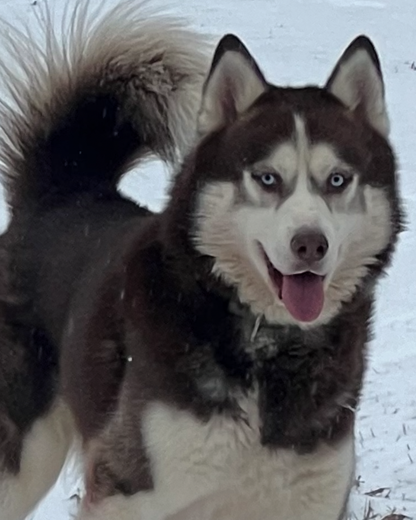 Maverick Bolen Profile Photo