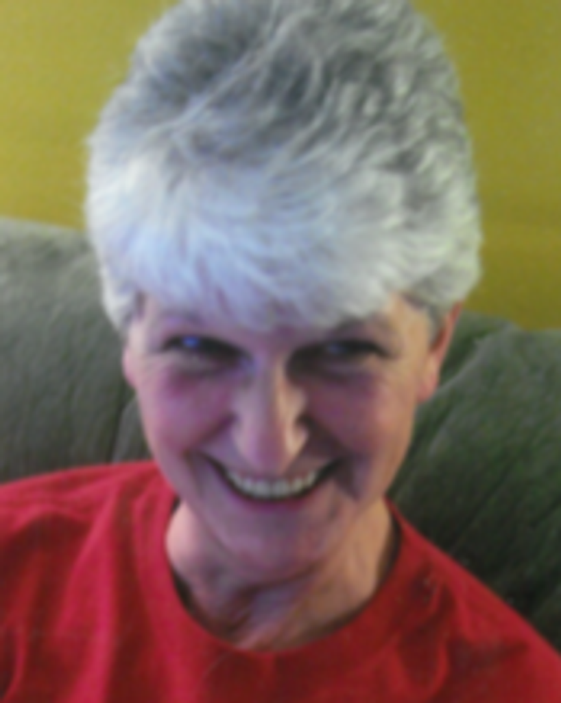 Diane R. McLain