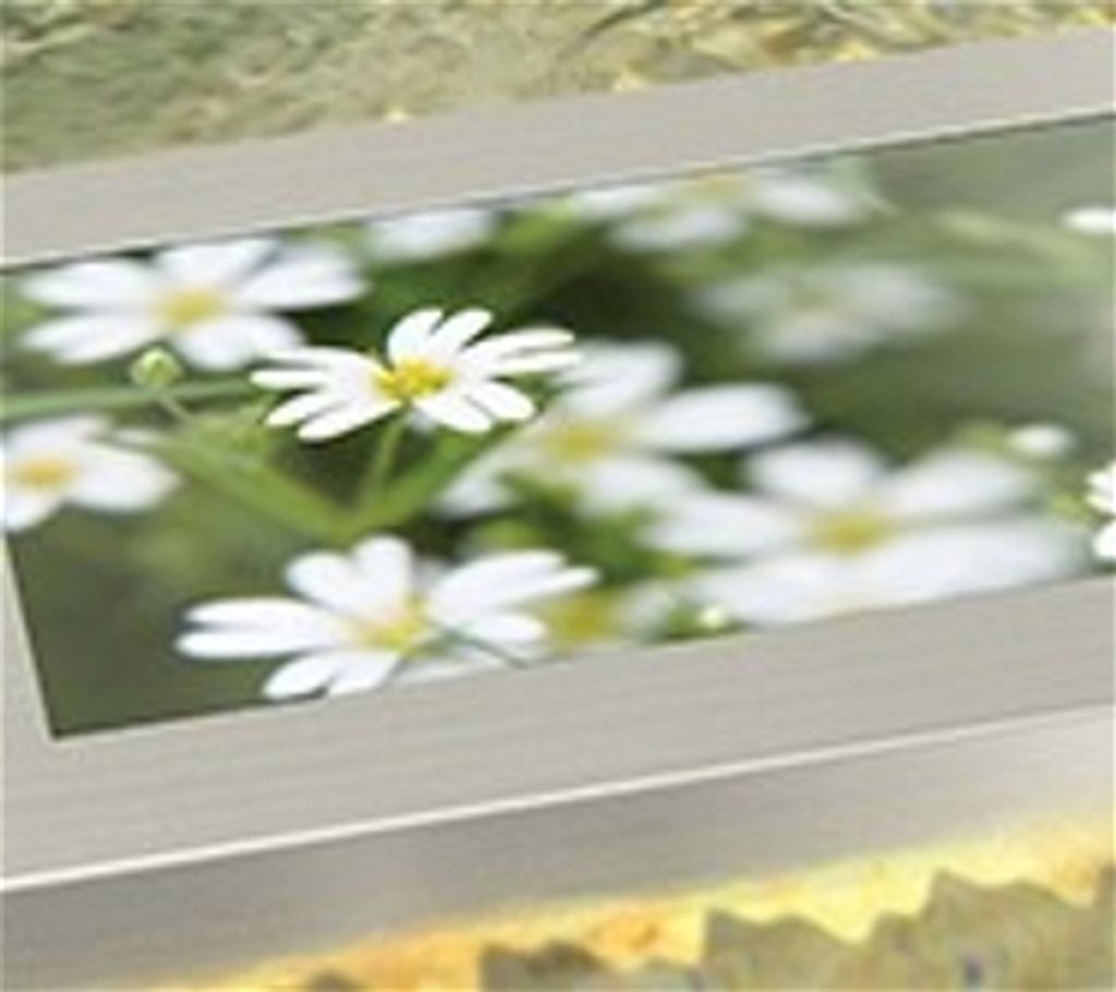 Sherry Selena Tolbert