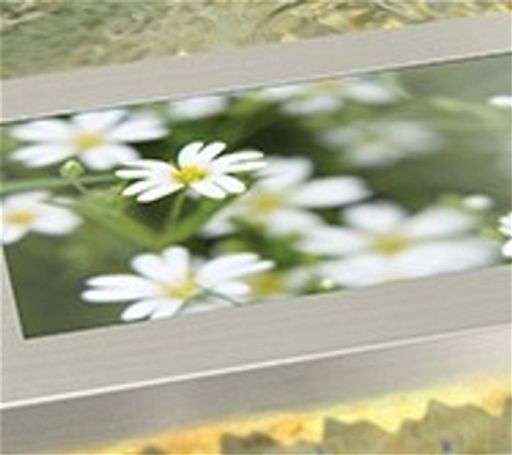 Sherry Selena Tolbert Profile Photo