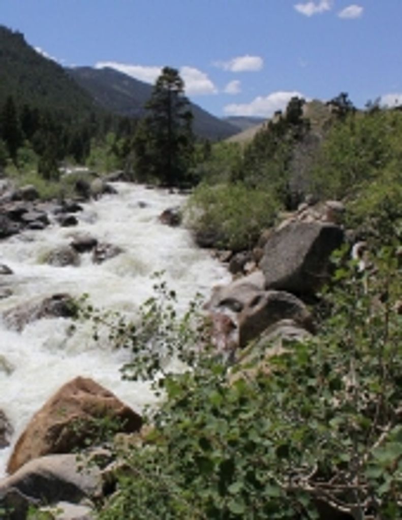 Clinton Dewayne Mckim Profile Photo