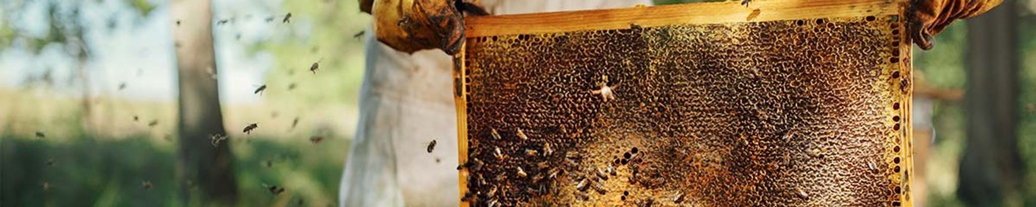 Cover for Clifford A. Balcer's Obituary