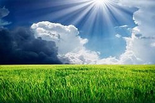 Aaron "Butch" L. Moyer Profile Photo