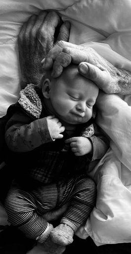 Daniel Gerald Willows photo gallery thumbnail 11 of 85