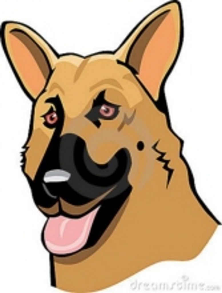 Buddy Kandelac Profile Photo