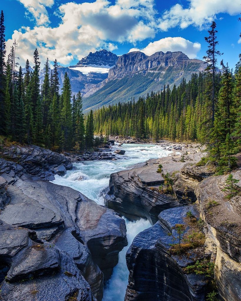 Ned Gordon Traughber Profile Photo