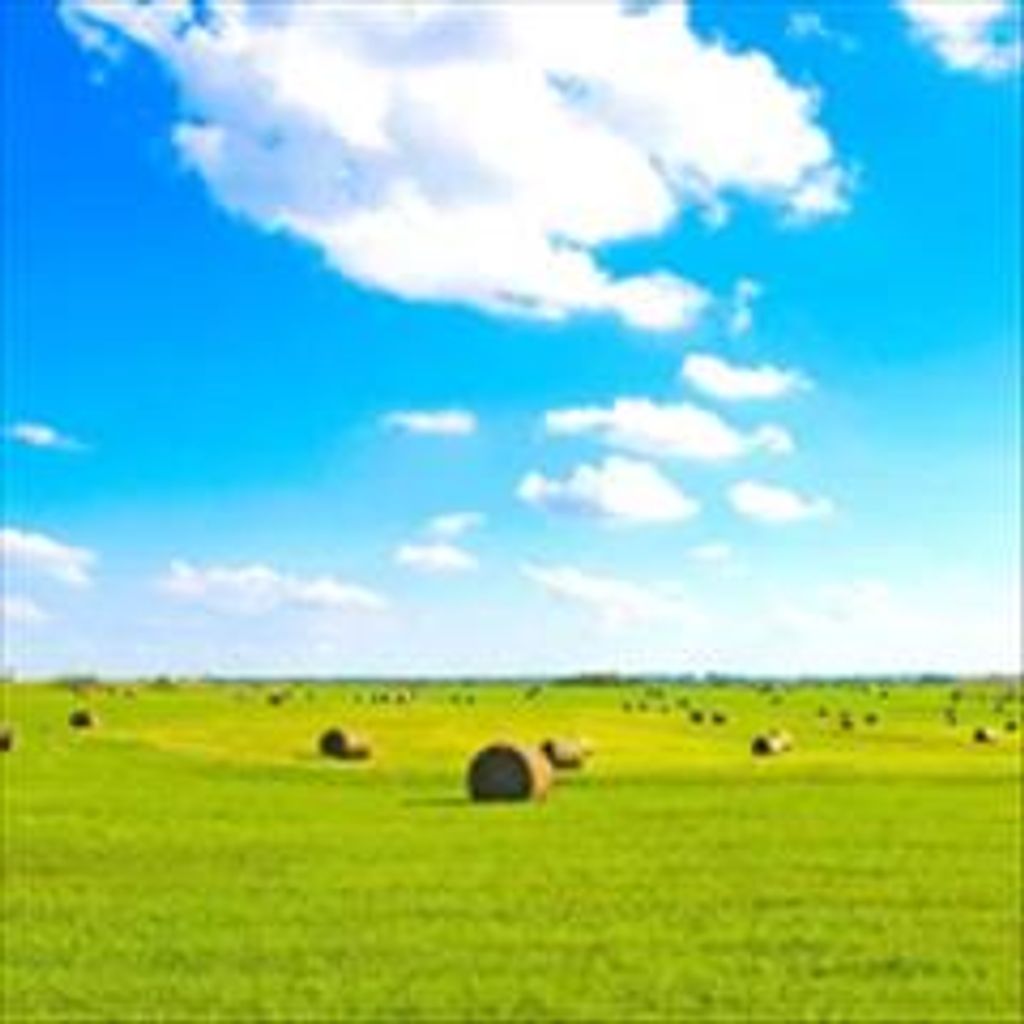 Franklin Russel Fasig, Jr.