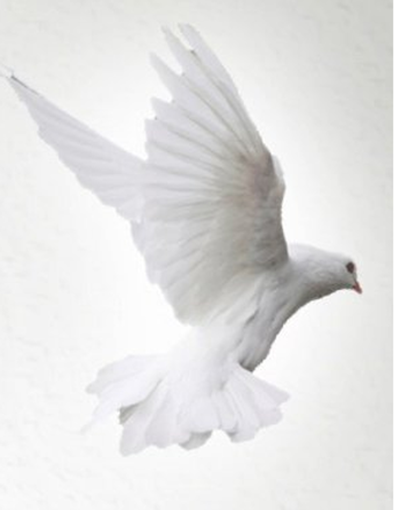 Sorrel Doris Ernestine Hays