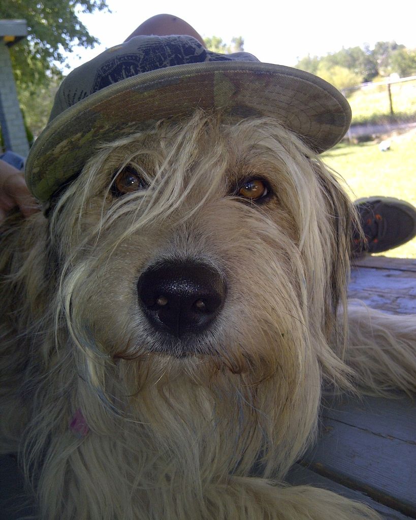Anna Bear Norwood
