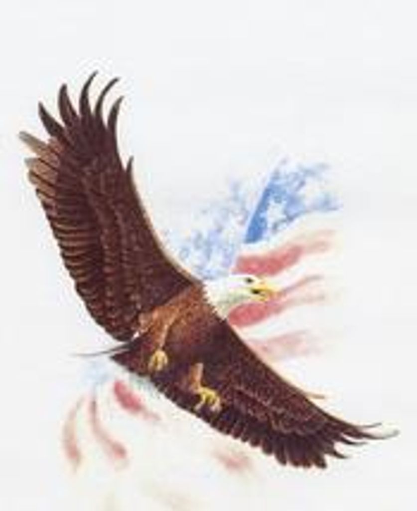 George William Allen Profile Photo