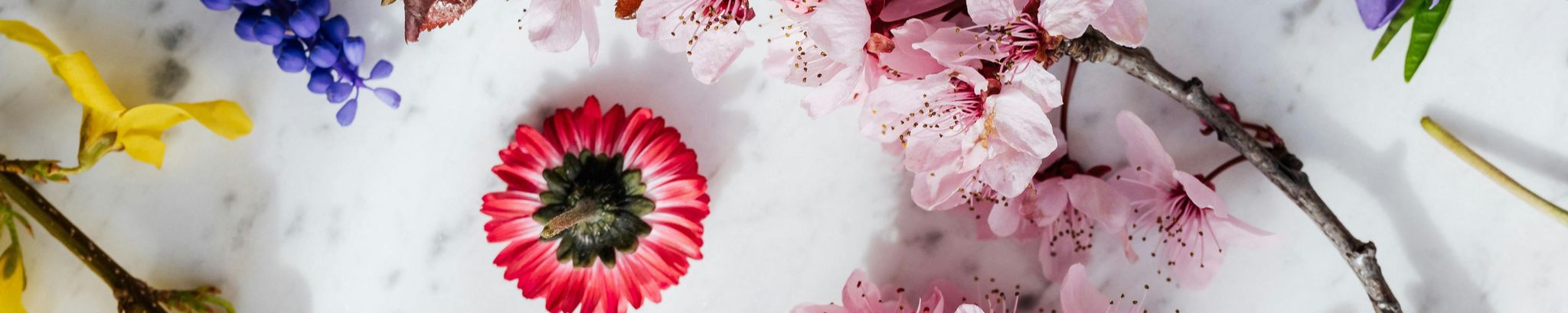 Cover for Pamela Jean Archer's Obituary