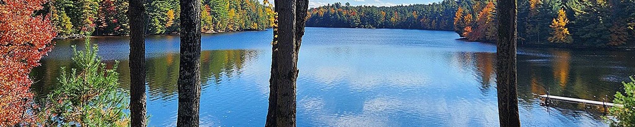 Cover for Shirley A. Wilson's Obituary