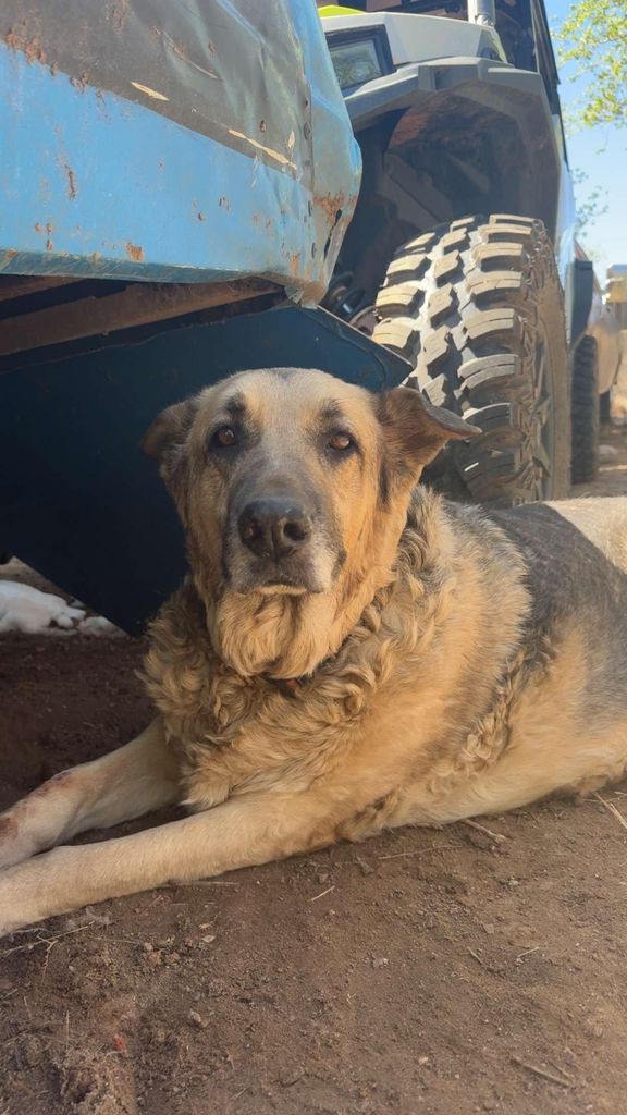 Buddy Profile Photo