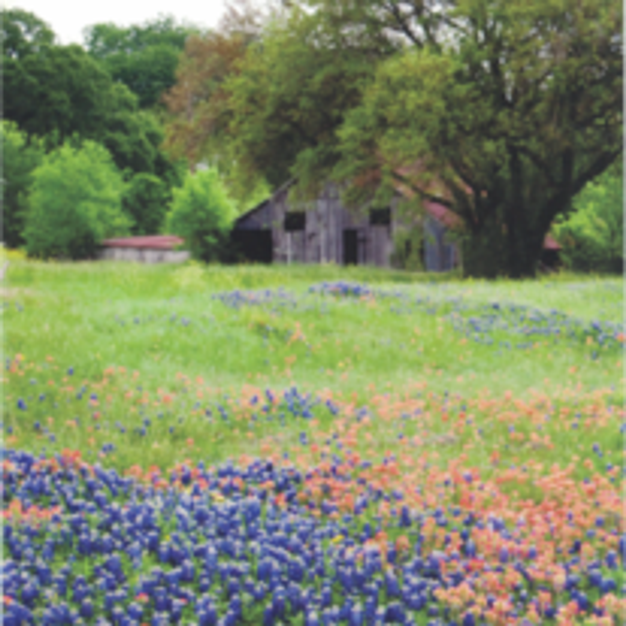 Garland "Paw Paw" Underdown photo gallery image 2 of 3