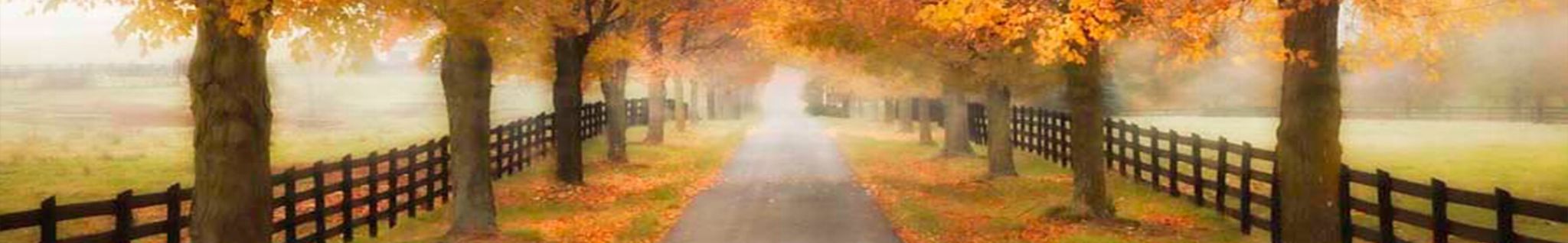 Cover photo for Vincent Leiter's Obituary