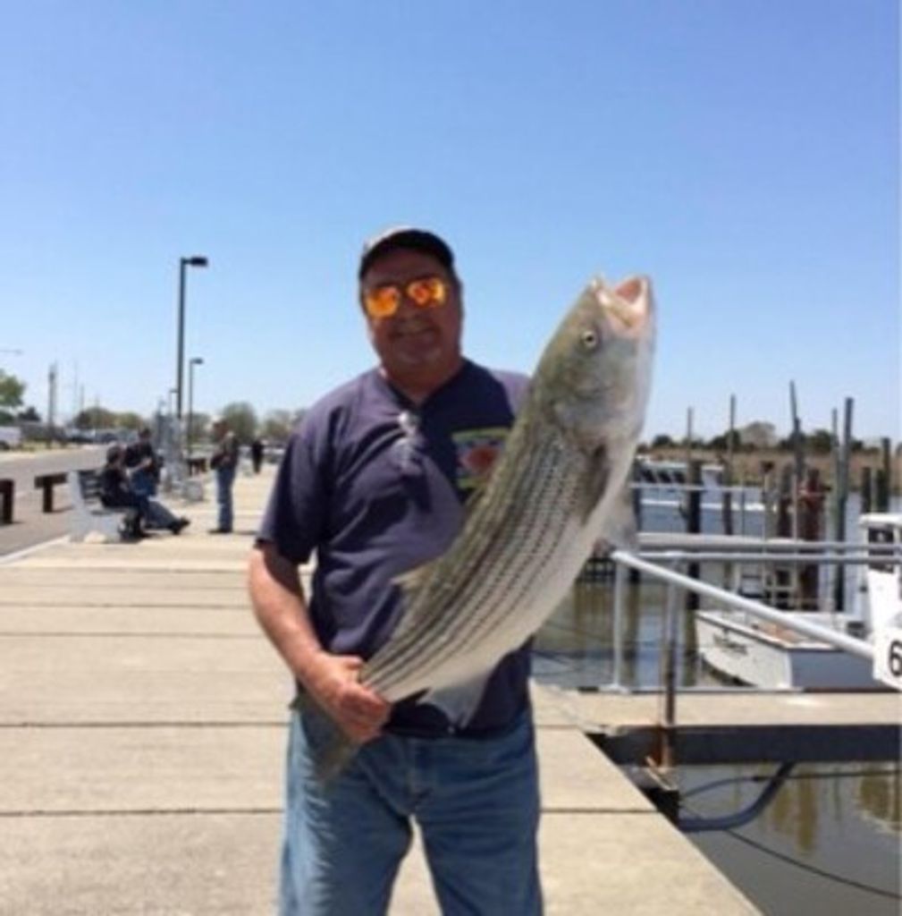 Wayne D. Kavalchick Profile Photo